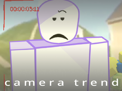 camera trend ( requested )