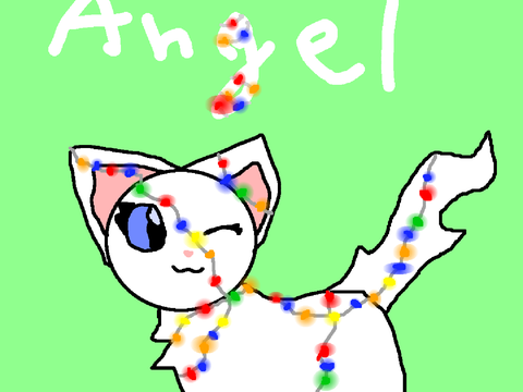 Angel || DTAE Read!!!
