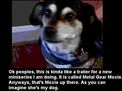 Metal Gear Moxie:HELP NEEDED