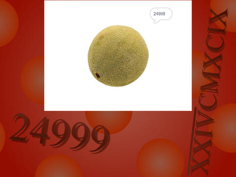 RCUTC - 24999