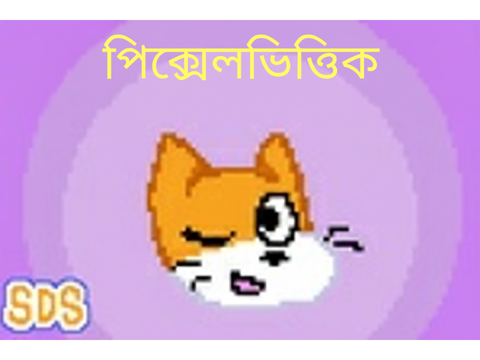 বাংলা| Pixelated | SDS Translation|