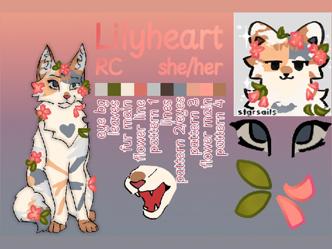 ✧˖°❀˖°✧lilyheart✧˖°❀˖°✧