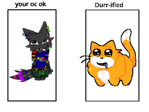durrrrrrrrrr