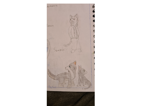 Random drawing i made