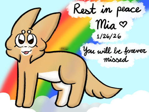 RIP Mia Baby