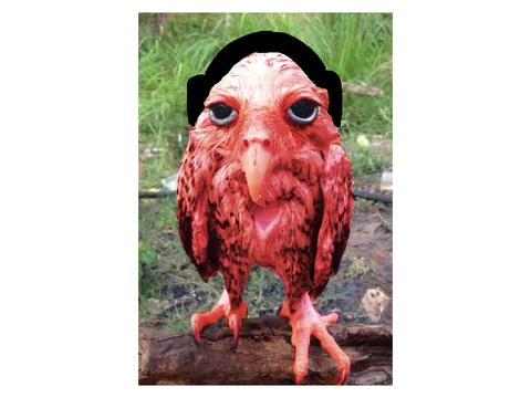 the owl spep