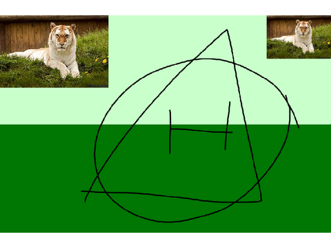 Therian flag for @tigertherian