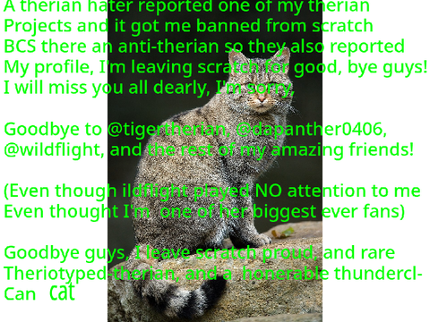 A therian hater reported my profile, I'm banned