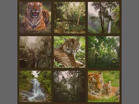 F2U Moodboards