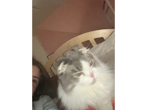 Funny Fia photos and one Dexter