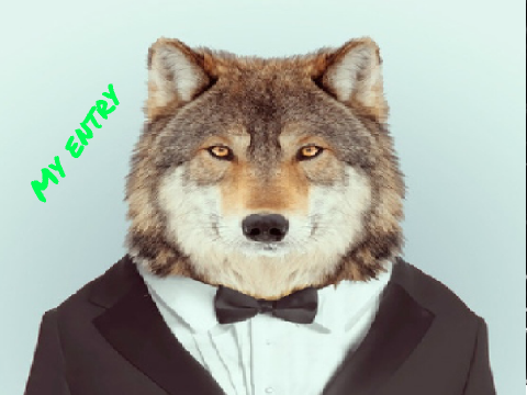 CC~LITTLE WOLF (OPEN) 