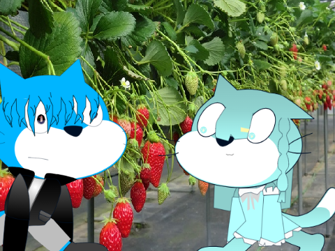 ぼむ
