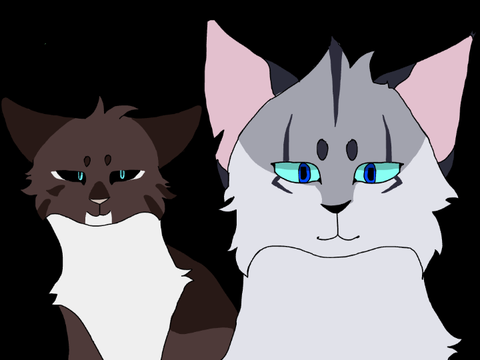 Hawkfrost part 4//WC//ENEMY