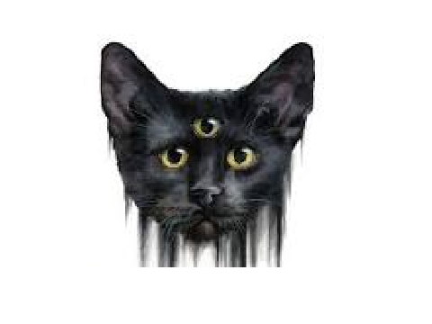 CAT (but in real life)