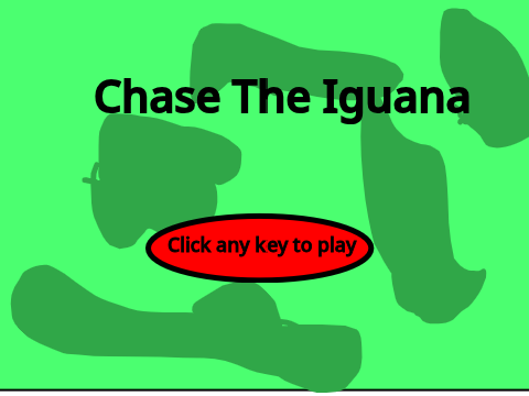 Chase The Iguana