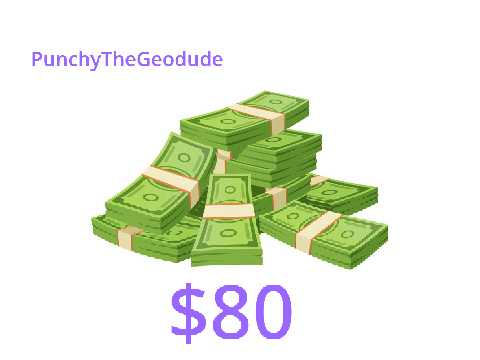 PunchyTheGeodude's bank