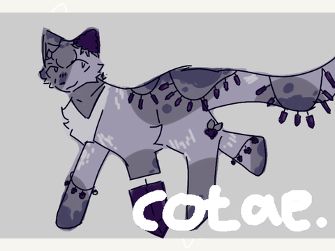 cotae: blackberry x amethyst