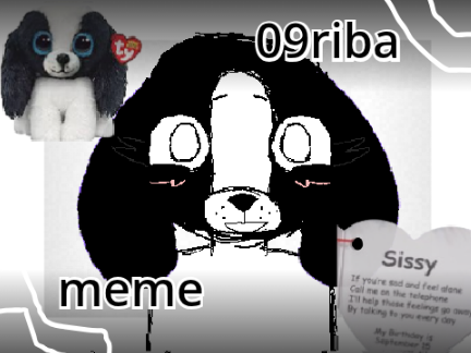 09riba meme ft sissy