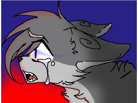 How Could This Happen || CCE ||
