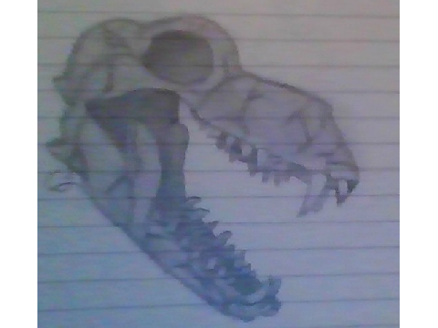 Random Art :D