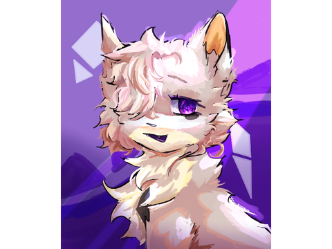 Commision 