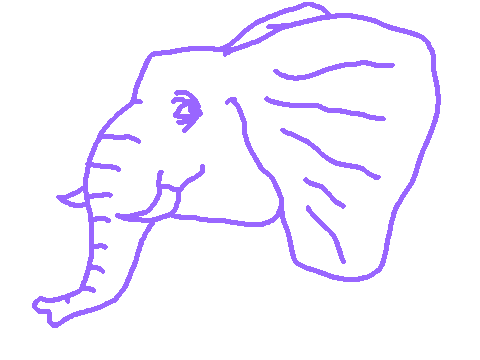 um animals