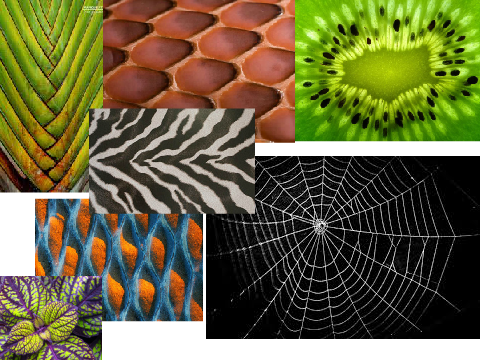 Nature Collage