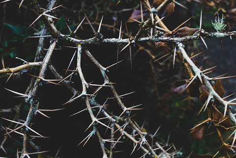 SERIOUSLY?? - Fake Collab