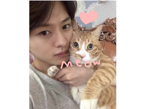 cat k pop