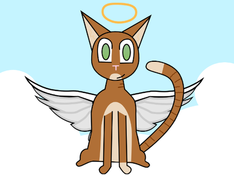 ♡Rest In Peace Caramelo♡