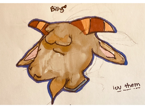 ♡a little Ava and Billy appreciation ♡ acnh