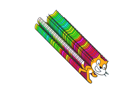 cat spiner