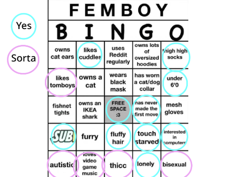 femboy bingo two