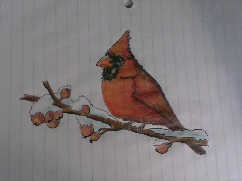 My Cardinal! :D
