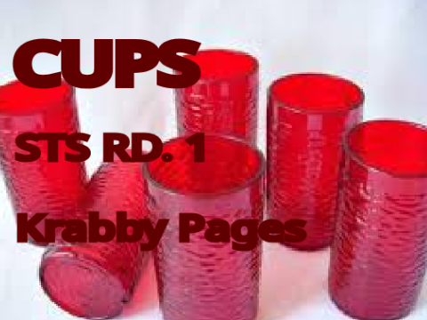 Cups - Sing To Survive Round One