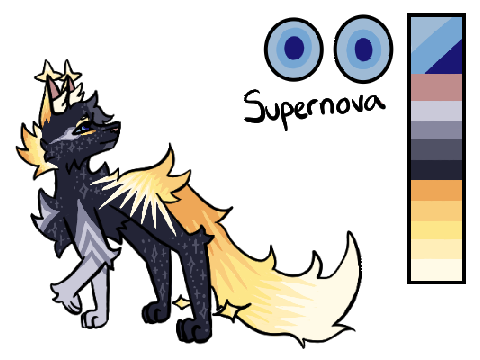 wip supernova application