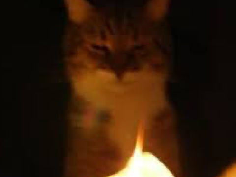 “There’s a flicker of light” Sparklingkit application
