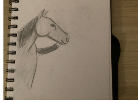 horsey
