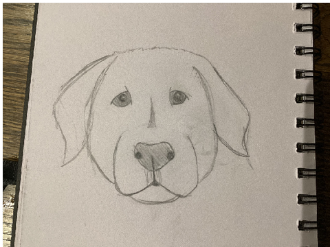 Just a drawing… of a doggo