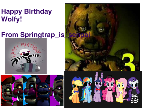 Wolfy's Birthday surprise
