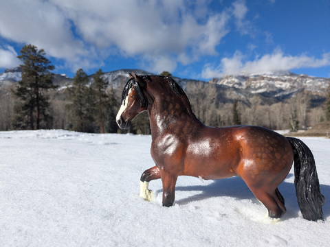 Custom Model Horse: Dottie