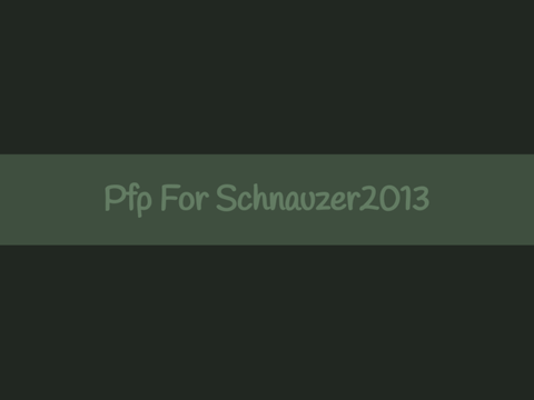 Pfp For Schnauzer2013