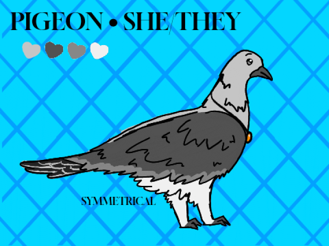 2026 Pigeon Ref