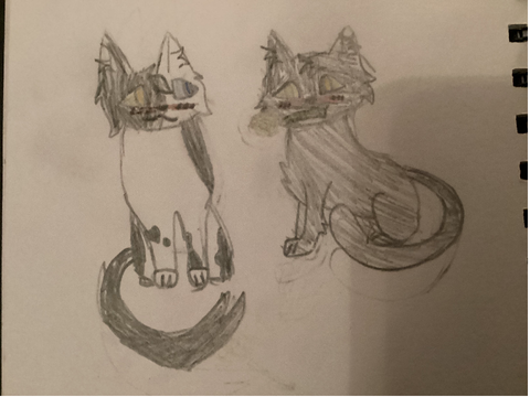 Brightsky and Nightgazer DOD fanart