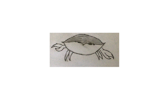 Crab