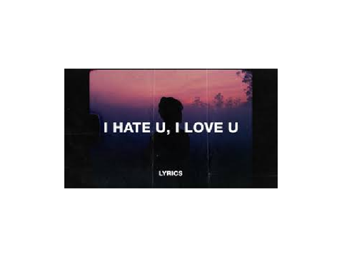 i hate you i love u  remix
