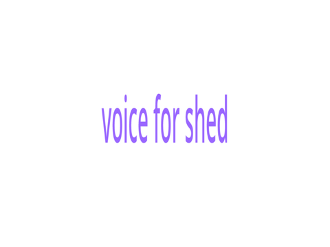 Voices for Forsaken show