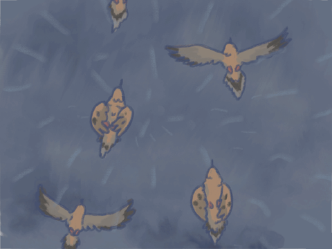 ~pigeon animation unfinished~