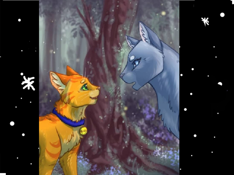 Warrior cats. art-work video!