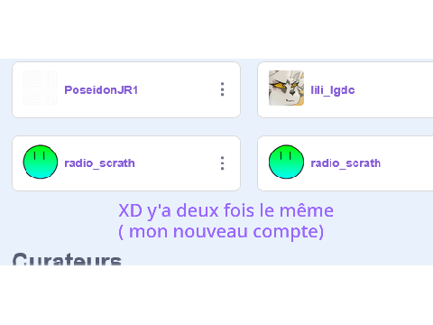 POV : Quand scratch bug